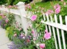 Kwikfynd Garden fencing
clarendonvale